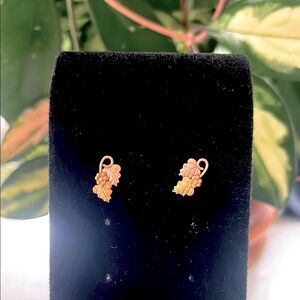 FINAL PRICE 10k Gold Coleman Co. Earrings